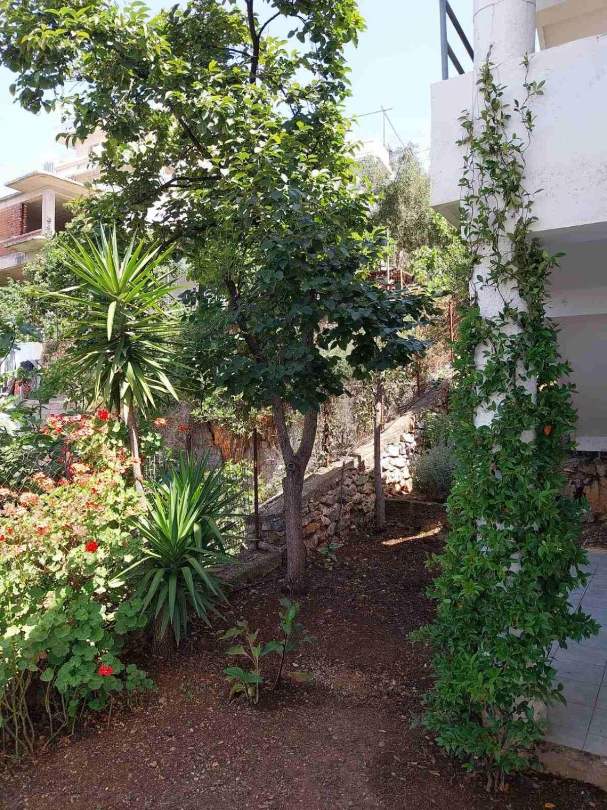 Thomas Apartments Sarande Exterior photo